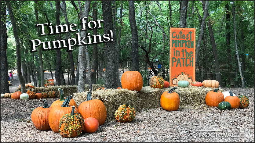 pumpkins games